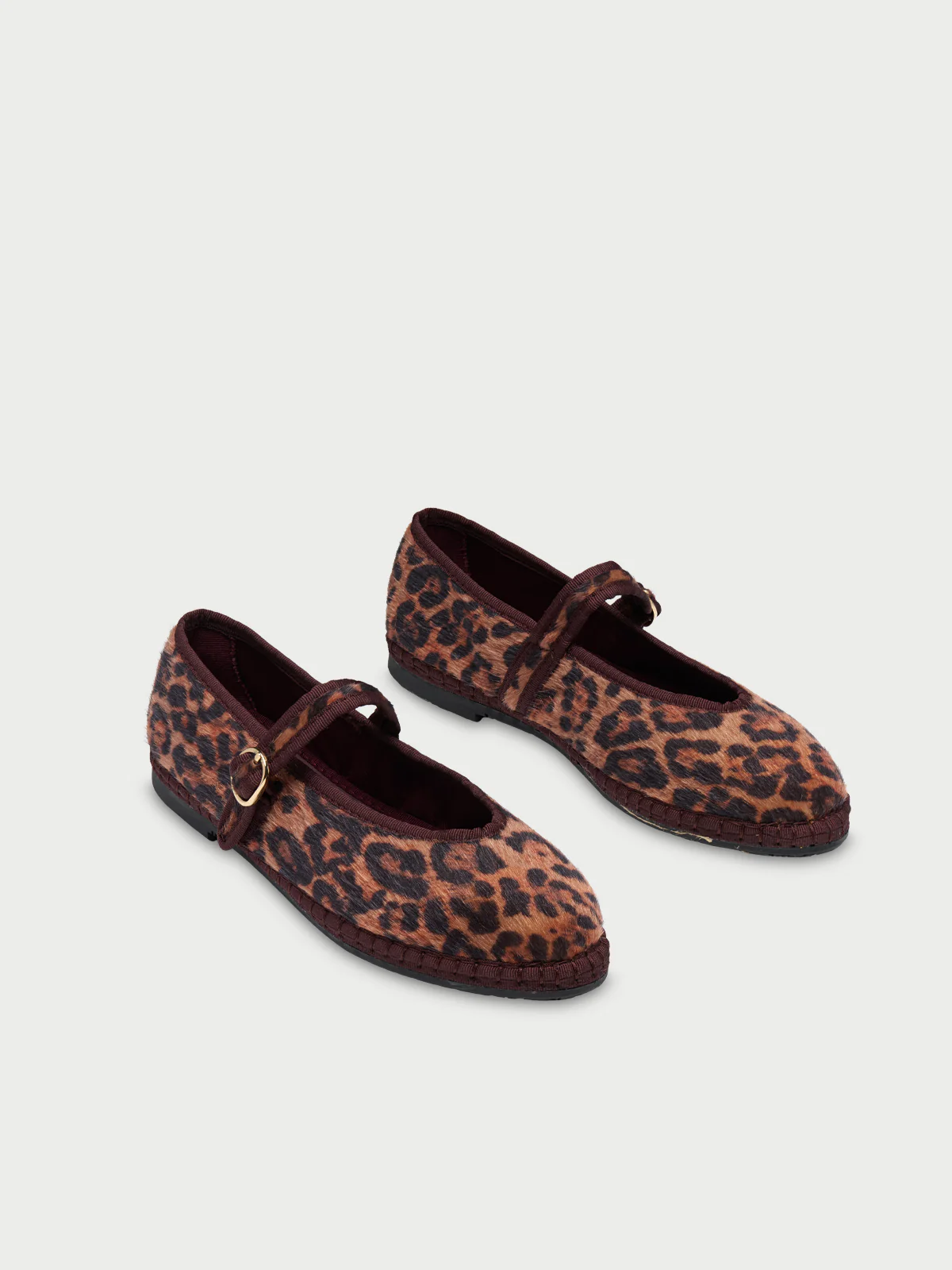 Pierre Feline Brown - Image 4