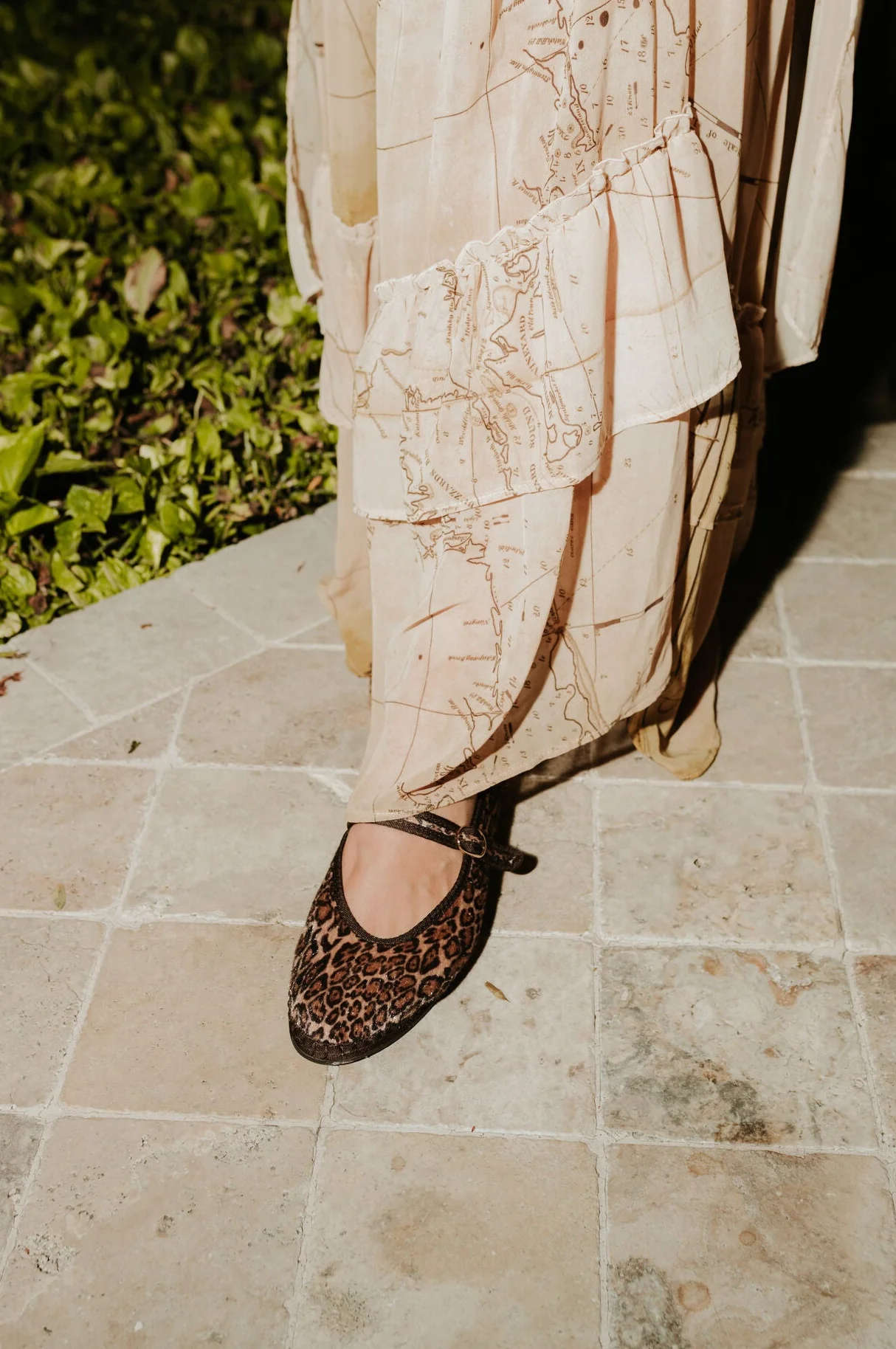 Pierre Leopard Brown - Image 4